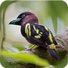 WWW,av373·COM网站APP
