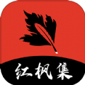 ❉91网站入口APP应用