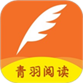 麻豆网站APP应用