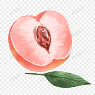 WWW,4747·COM网站APPAPP应用